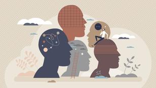 Silhouettes of human heads with representations of variation in the human brain, photo by VectorMine/Getty Images