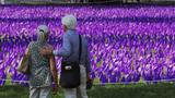 People look at a field of 20,000 purple flags representing overdose deaths in the state from 2011 to 2021, at Boston Common in Boston, Massachusetts, August 29, 2022, photo by Brian Snyder/Reuters